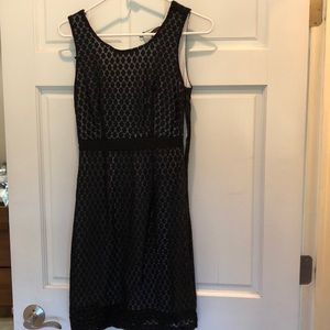 Women’s The Limited Dress